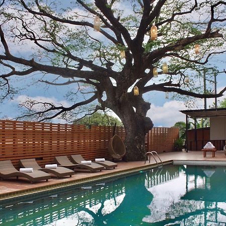 Bamboori Boutique Resort Csiangmaj Kültér fotó